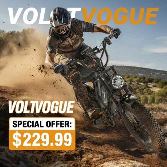VOLTVOGUE Electric Bike VIP